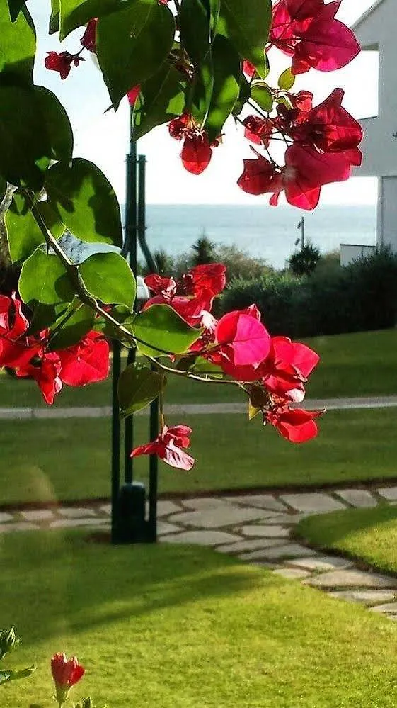 Apartmán The Porch Sitges